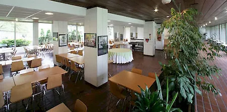 ディック リュブリャナ