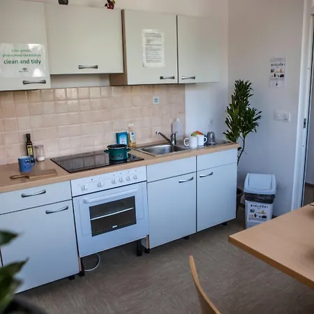 Dic بيت شباب *